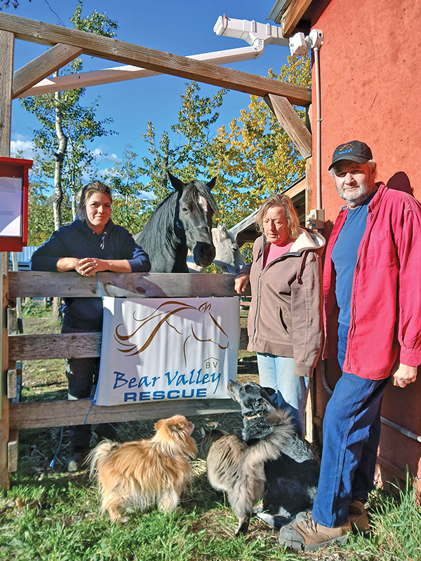 Bear Valley Rescue in Alberta Canada, horse rescue in Canada, Jacqueline Louie, helping horses in need, the gift of volunteering in horse rescue, the value of horse rescue, the importance of horse rescue volunteers, Kathy Bartley of bear valley horse rescue