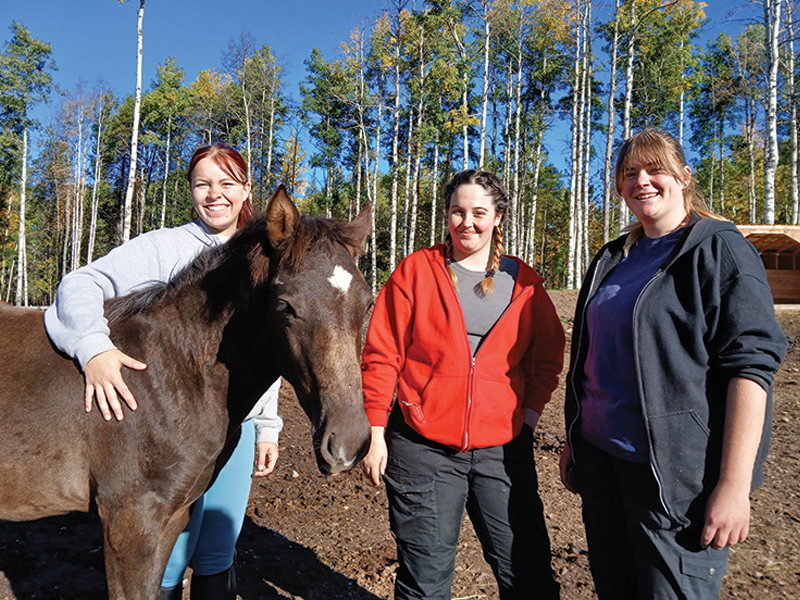Bear Valley Rescue in Alberta Canada, horse rescue in Canada, Jacqueline Louie, helping horses in need, the gift of volunteering in horse rescue, the value of horse rescue, the importance of horse rescue volunteers, Kathy Bartley of bear valley horse rescue