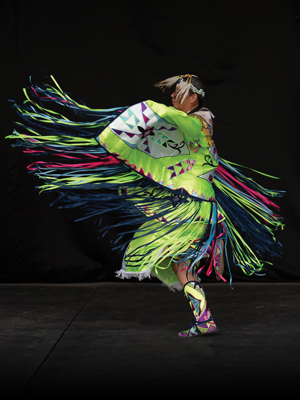 Mādahòkì Farm, Lac La Croix Indigenous pony, Lac La Croix ponies, Gakijiwanong Anishinaabe Nation, unique pony breeds, zebra stripes on pony legs, importance of preserving horse breeds, TJ Stables, mare Wishkossiwika, Fred Isham, Ojibwe Horse herd, The last roundup