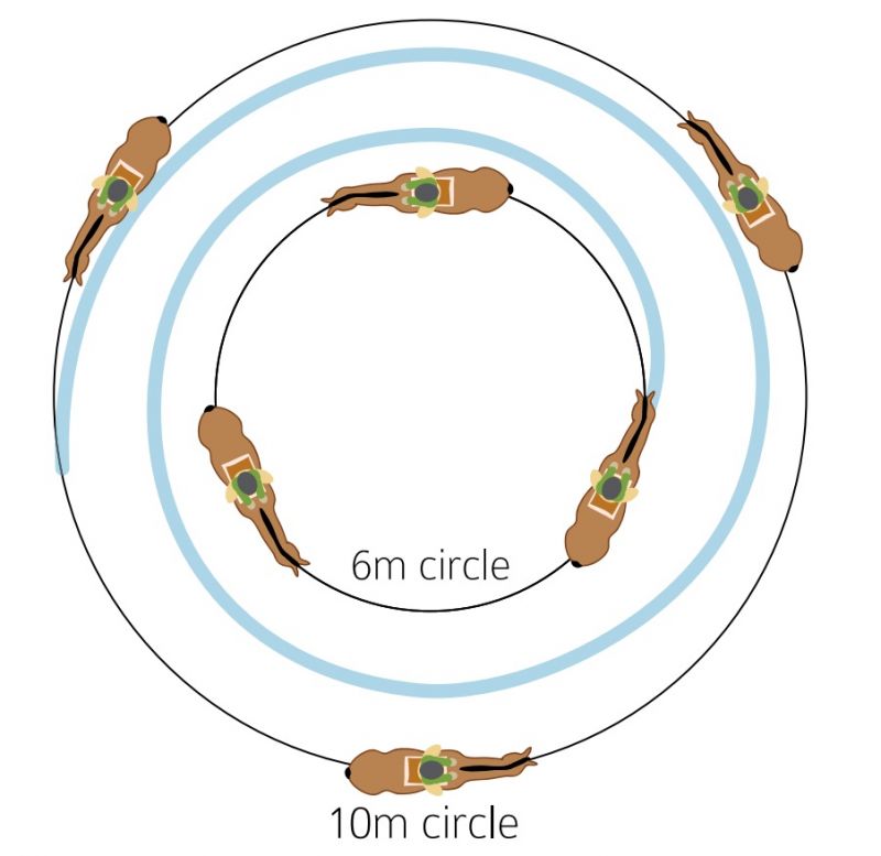 circle reining horses, rhythm horses, balancing horsees exercises