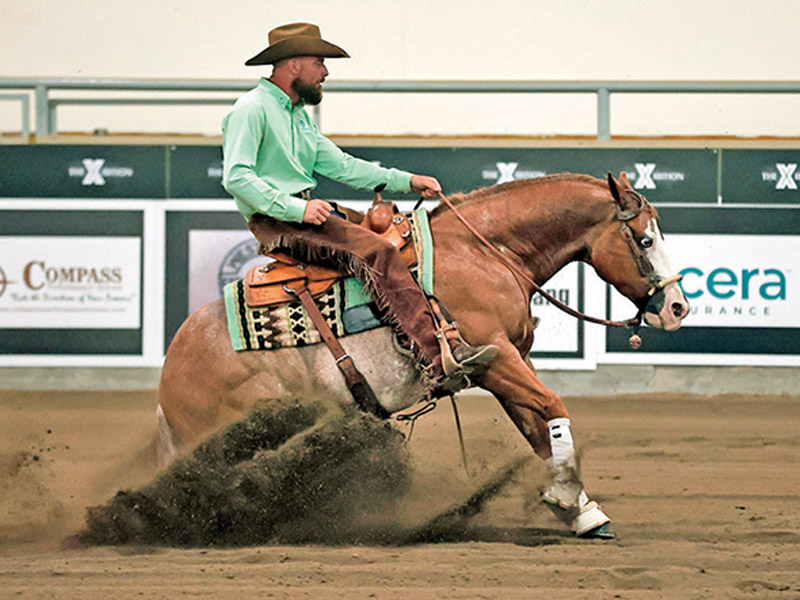 Kendal lehari three-day eventing rider, how to succeed as a horse rider, Canadian equestrian athletes, successful Canadian horse riders, tracy vollman Canada's world equestrian games endurance team, jim greendyk performance horses