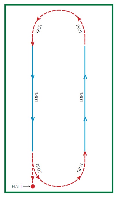 reining horses loping the oval