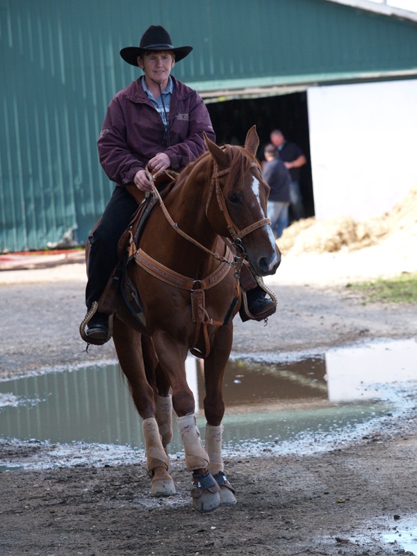 Cowboy riding horse in western tack, pam mackenzie horse photographer