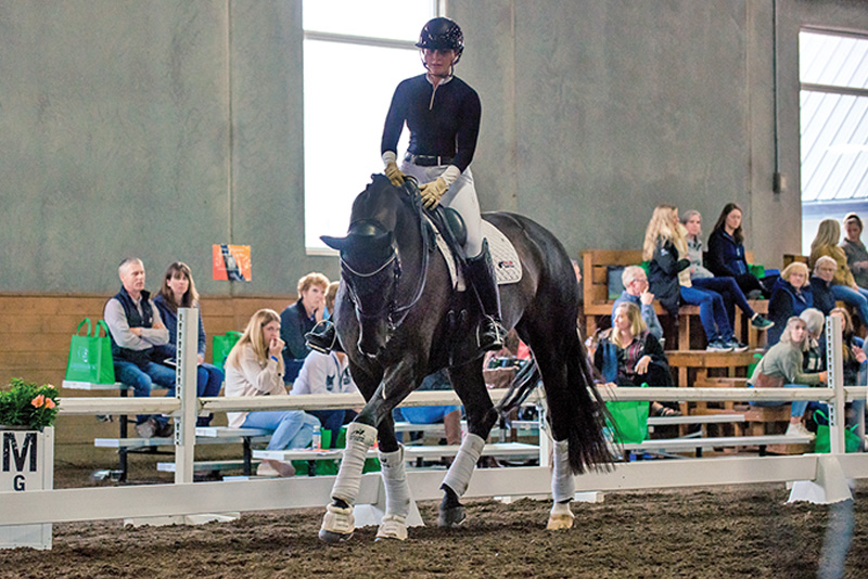 christoph hess dressage symposium, top dressage trainers, fei dressage judge christoph hess canada