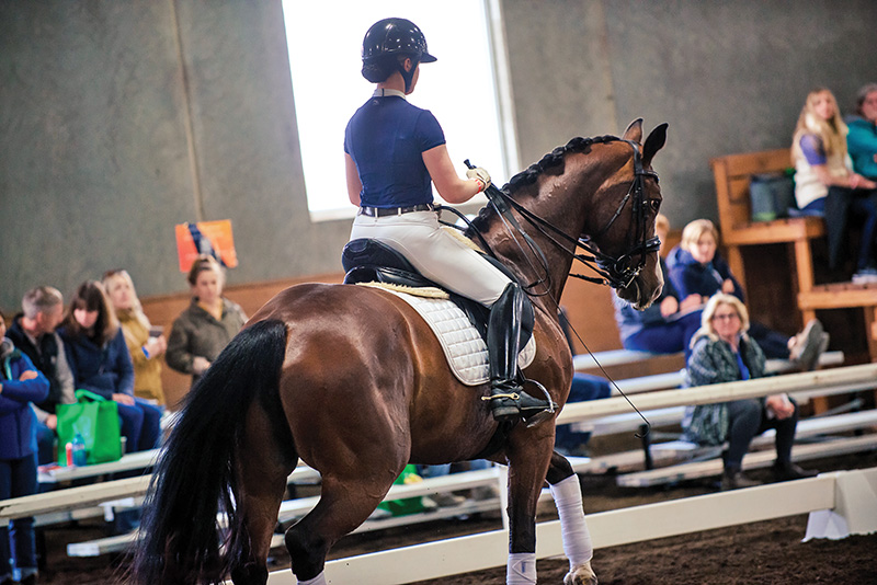christoph hess dressage symposium, top dressage trainers, fei dressage judge christoph hess canada