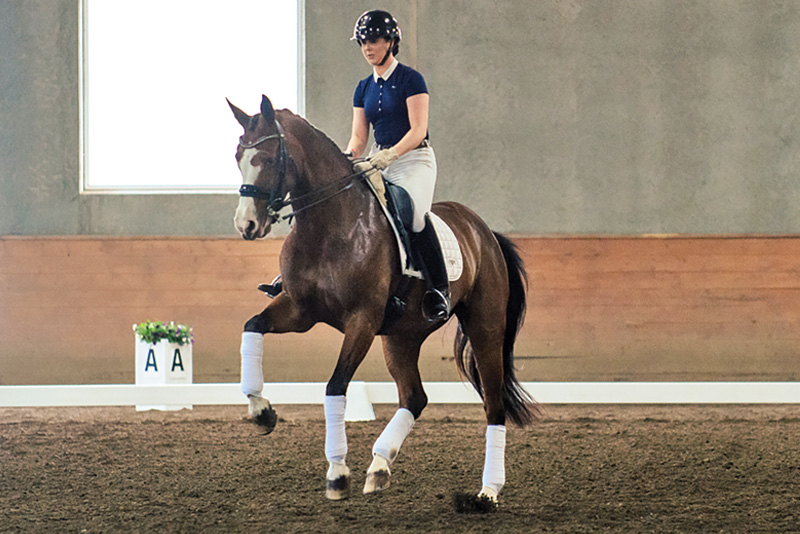 christoph hess dressage symposium, top dressage trainers, fei dressage judge christoph hess canada