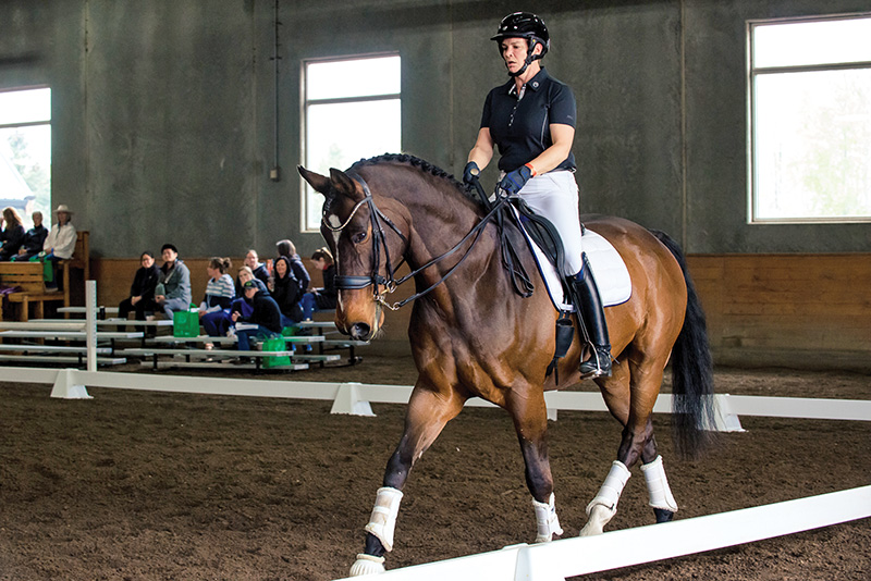 christoph hess dressage symposium, top dressage trainers, fei dressage judge christoph hess canada