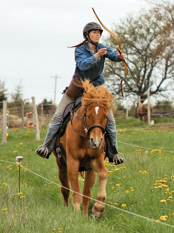 canadian horse breed, canada's national breed, chhaps, canadian horse heritage & preservation society, canada's national horse, canadian horse le cheval canadien, mounted archery canadian horses