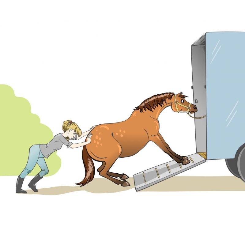 load a horse in trailer, horse won't load in trailer, loading horses, will clinging