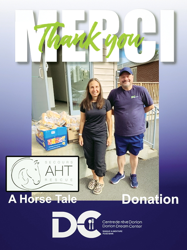 horse rescues quebec, a horse tale rescue quebec, caroline handy a horse tale, aht in quebec, horse sanctuaries in quebec