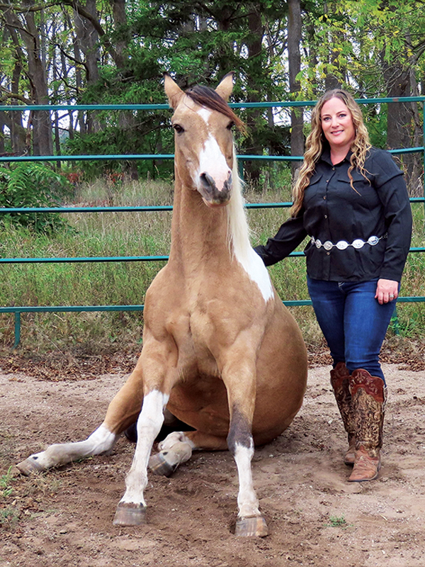 bronwyn irwin horse commercials, horses with jobs, working horses, school horses, therapy horses, search and rescue horses, quadrille horses, movie horses, horse temperament, equine careers