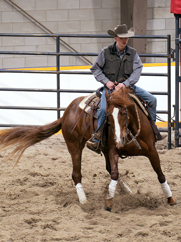 coby sabila on crushing hail, Ontario Equine Expo, Canadian horse events, equine expo Ontario, horse clinics Canada, equestrian events Ontario, horse industry Canada, horse training clinics, equine education Canada, Markham Fairgrounds horse event, Battle of the Bridles, western and English disciplines, horse footing issues arena, Canadian equestrians, horse vendors Canada, equine expo 2026