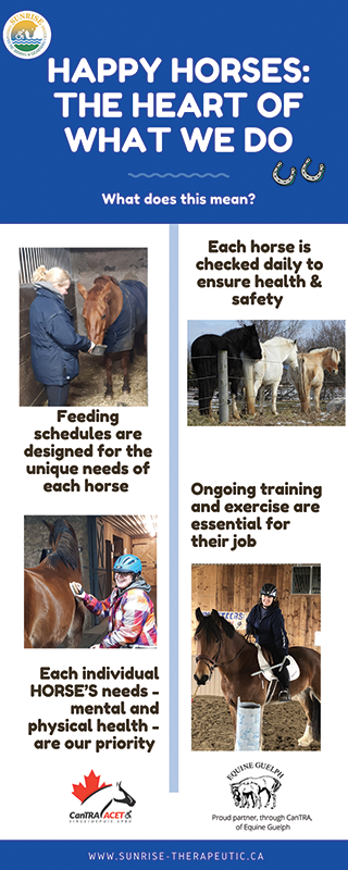 therapeutic riding fundraisers canada, happy horses fundraiser, canadian therapeutic riding association, sunrise therapeutic riding learning centre of puslinch, on, ann caine