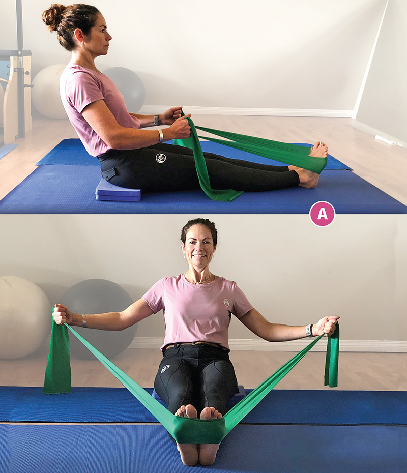 pilates for equestrians, sandra verda zanatta, core strength equestrians, workouts for horse people