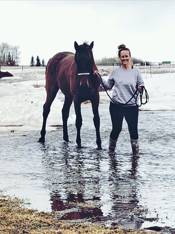 training young horses, starting a green horse, affordable horse ownership Canada, developing a sport horse, groundwork training horses, buying young horses Canada, horse training basics, equestrian on a budget