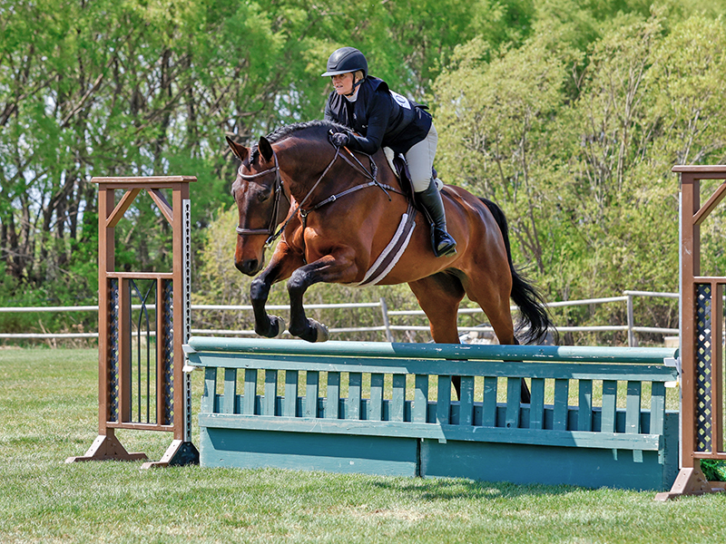 north country equestrian blog, abbey stilwell horse blog, amateur equestrian goals, equestrian goal setting, riding goals, adult amateur rider, equestrian mindset, riding improvement, horse show goals, growth mindset riding, balancing riding and life