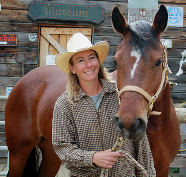 bell and sundance horses, horse rescue in bc, pack horses abandoned bc, horse christmas stories, mount renshaw horse rescue, horses trapped rocky mountains, birgit stutz horse rescue, falling star ranch bc, frank mackay horse abandonment