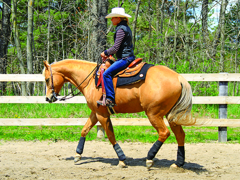 horse riding a circle, proper alignment horse circles, lindsay grice horse training