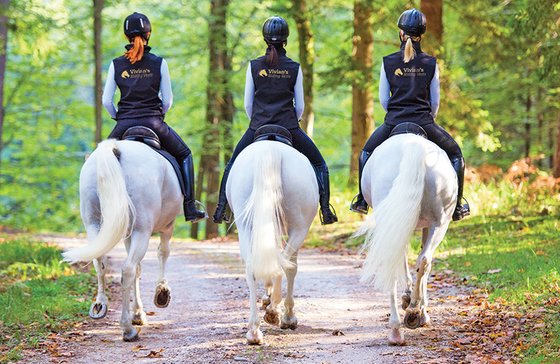 branded apparel for equestrians, equestrian apparel, logo on horse clothing