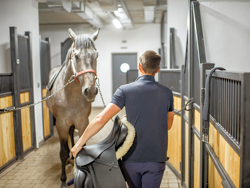 competing in horse show, nervous about horse show, anxiety horse competition, psychology for horse rider, equestrian psychologists, annika mcgivern