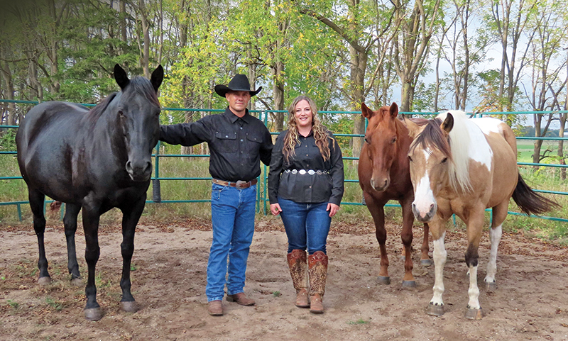 jason and bronwyn irwin horses, horses with jobs, working horses, school horses, therapy horses, search and rescue horses, quadrille horses, movie horses, horse temperament, equine careers