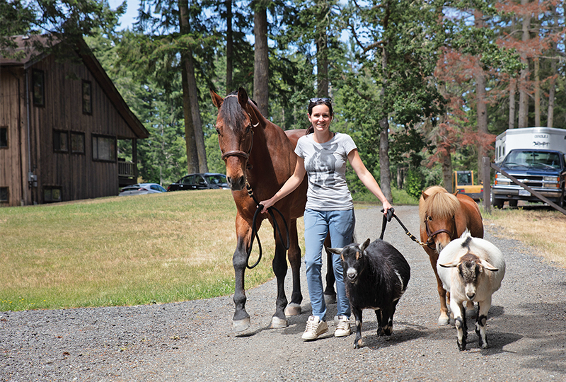 running a horse barn, hiring horse people, keeping an equestrian facility, managing horse boarders, taking care of horses, nikki alvin smith