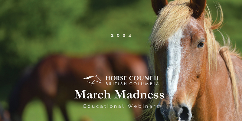HCBC March Madness Horse Council BC