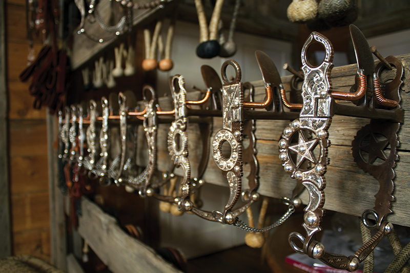 bridle horse riding, tania millen, martin black horse trainer, spanish cowboys, stefanie travers horse trainer, straight up bridle, bosal two rein, roping