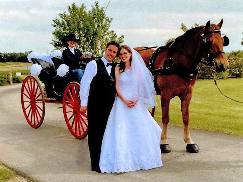 canadian horse breed, canada's national breed, chhaps, canadian horse heritage & preservation society, canada's national horse