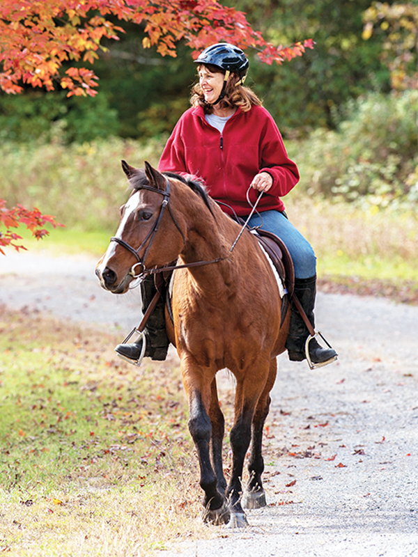 trail riding in autumn, Dental health older horse, joint pain older horse, nutrition senior horse, gut health aging horse, ppid horses, cushing's disease horses, horse laminitis, ems equine metabolic syndrome, eye health old horse, exercising senior horse, signs horse is getting old
