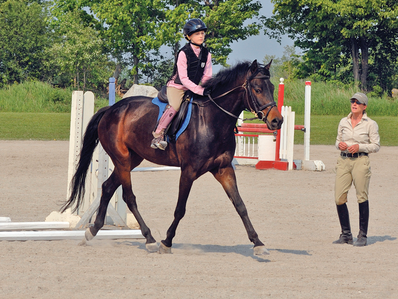 running a horse barn, owning a horse farm, boarding horses, how to board horses, renting riding ring