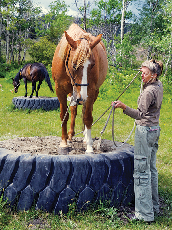 improving connection with your horse, fun activities with horse, alexa linton, fun with horse