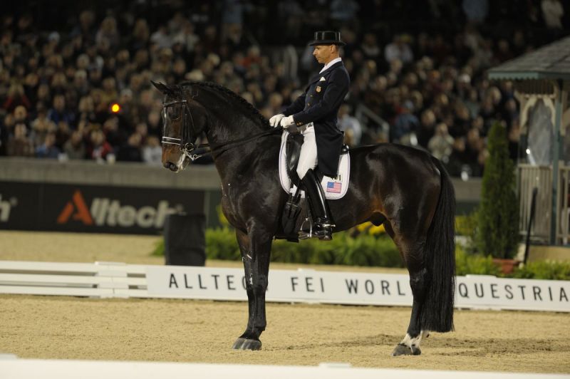 tania millen, shannon lee dueck, amanda self, nrha contact rules, dressage FEI contact rules, Federation Equestre Internationale, megan lane caravella, steffen peters