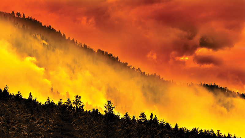 equine emergency preparedness, horses stuck flooding, preventing barn fire, emergency services horses, help for horses disaster, kevan garecki, bc flooding horses