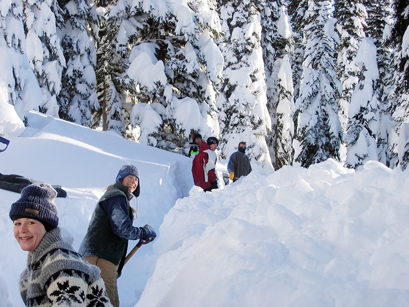 bell and sundance horses, horse rescue in bc, pack horses abandoned bc, horse christmas stories, mount renshaw horse rescue, horses trapped rocky mountains, birgit stutz horse rescue, falling star ranch bc, frank mackay horse abandonment