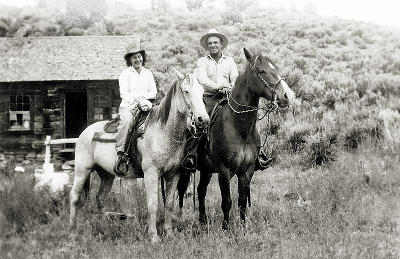 bridle horse riding, tania millen, martin black horse trainer, spanish cowboys, stefanie travers horse trainer, straight up bridle, bosal two rein, roping