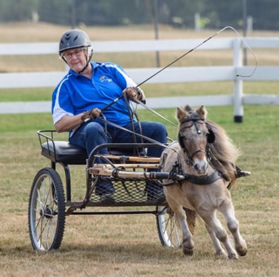 2022 bc 55+ summer games equestrian photos