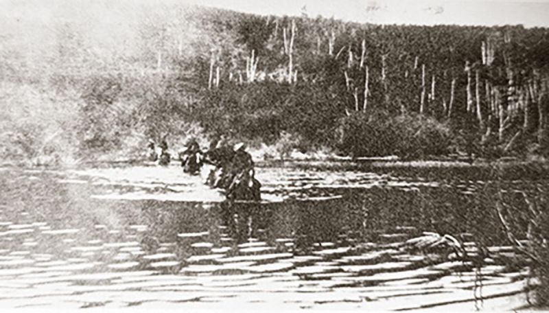 Col. S.B. Steele, Strathcona's Horse, horses in history, sam steele's horses, north-west rebellion, cowboy cavalry, buckskin cavalry, alberta field force horses, horses Canadian army, commemorative troop association horses