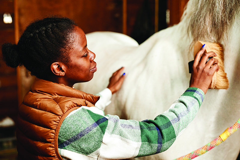 connecting to horse while grooming