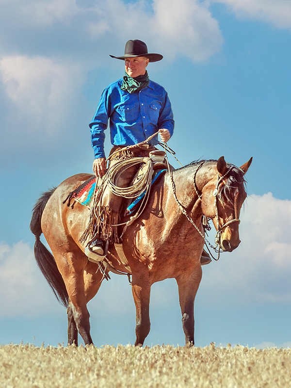 bridle horse riding, tania millen, martin black horse trainer, spanish cowboys, stefanie travers horse trainer, straight up bridle, bosal two rein, roping