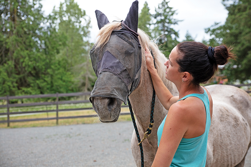 running a horse barn, hiring horse people, keeping an equestrian facility, managing horse boarders, taking care of horses, nikki alvin smith