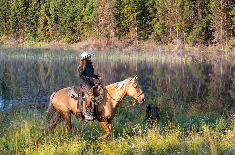 bridle horse riding, tania millen, martin black horse trainer, spanish cowboys, stefanie travers horse trainer, straight up bridle, bosal two rein, roping