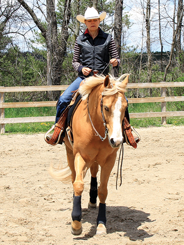 counter canter horse, cantering your horse, how to canter horse, how to prepare show ring, correcting horse's lead, how to keep my horse straight, lindsay grice