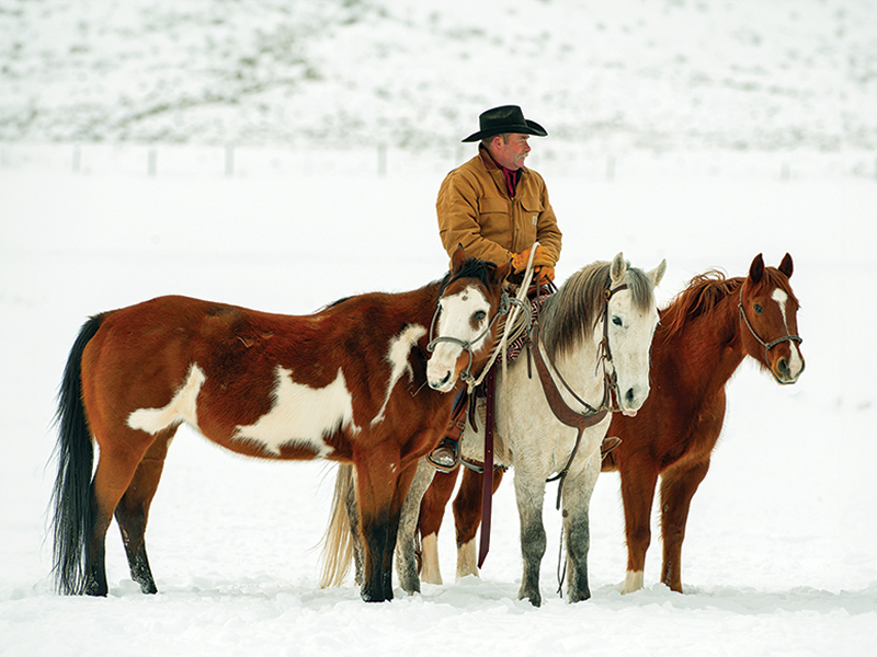 equine photography, horse photography tips, photographing horses, rule of thirds photography, equine composition techniques, horse photo focus modes, AF-C tracking horses, photographing moving horses, Canadian equestrian photography, Shawn Hamilton photography, Clix Photography, horse photography composition, capturing horses in motion, equine photo tips Canada, horse rider photography