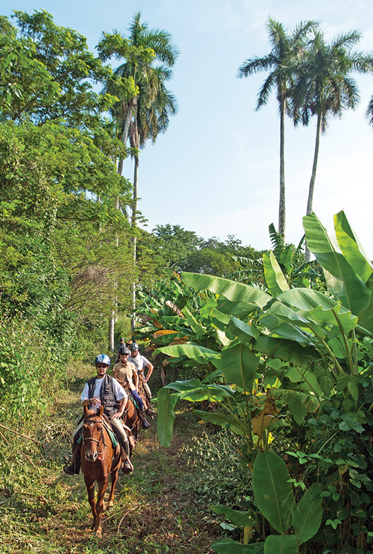 riding horses in cuba, cuba riding holiday, shawn hamilton cuba, unicorn trails horse riding, valle vinales horse riding