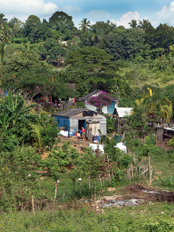 riding horses in cuba, cuba riding holiday, shawn hamilton cuba, unicorn trails horse riding, valle vinales horse riding