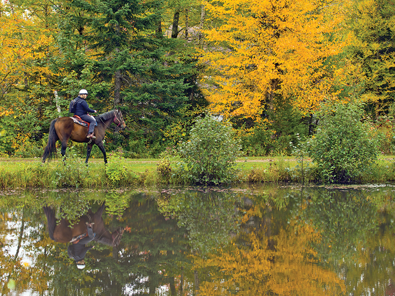 horse riding holidays in vermont, best places horse holiday, horseback riding holidays usa, horse riding in the fall, shawn hamilton, vermont icelandic horse farm