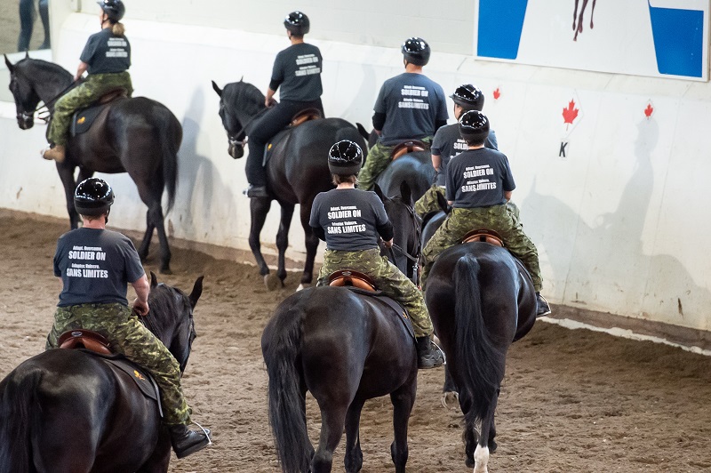 Soldier On program for injured soldiers and veterans, horse program for trauma survivors