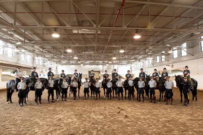 Soldier On program for injured soldiers and veterans, horse program for trauma survivors
