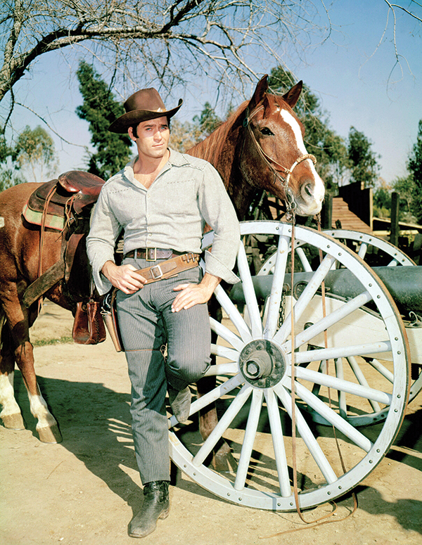 horses used in hollywood movies, the black stallion, seabisquit, national velvet, ben-hur, gladiator, john scott productions, legends of the fall, heartland, war horse, devil's horseman